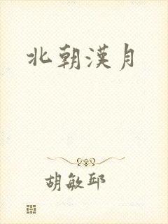 北朝汉月封面