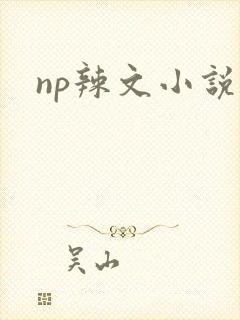 np辣文小说封面