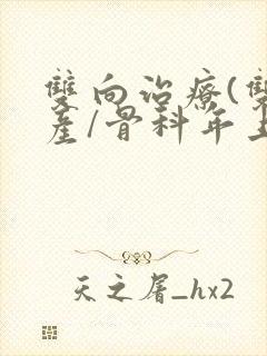 双向治疗(双/产/骨科年上)