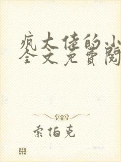 疯大佬的小玩物全文免费阅读小说