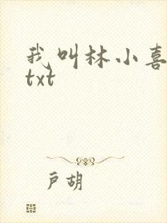 我叫林小喜小说txt
