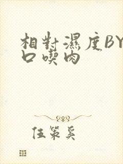 相对湿度BY大口吃肉