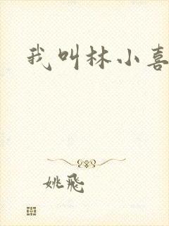 我叫林小喜17封面