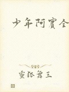 少年阿宾全文封面