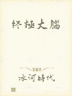 终极大脑封面