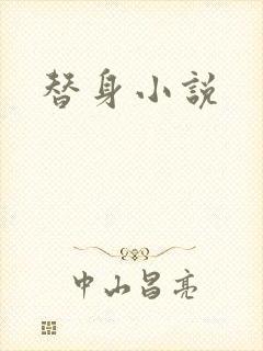 替身小说封面