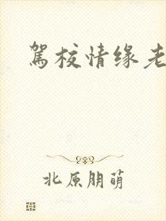 驾校情缘老赵封面