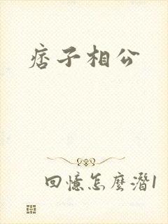 痞子相公