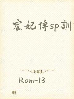 宸妃传sp训诫
