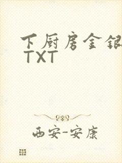 下厨房金银花露 TXT封面