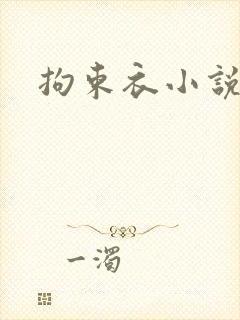 拘束衣小说封面