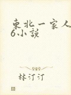 东北一家人1一6小说