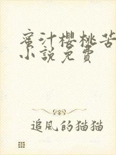 蜜汁樱桃苦咖啡小说免费