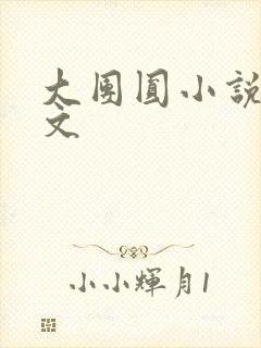 大团圆小说集全文封面