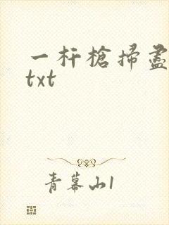 一杆枪扫尽全家txt封面