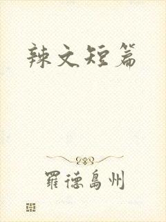 辣文短篇封面