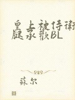 皇上被侍卫抵开腿承欢BL封面