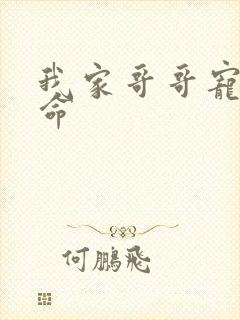 我家哥哥宠妹如命