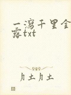 一泻千里金银花露txt