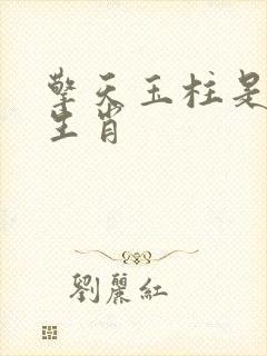 擎天玉柱是什么生肖