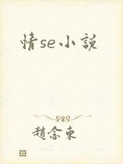 情se小说封面