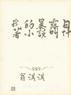 我的暴露日记原著小说叫什么