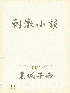 刺激小说