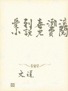 爱到春潮滚滚来小说免费阅读封面