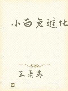 小白兔进化史封面