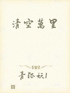 清空万里