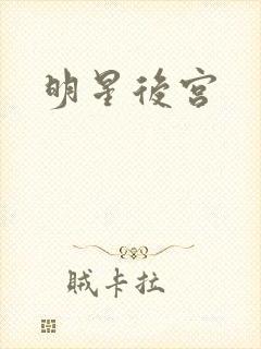 明星后宫
