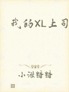 我的XL上司