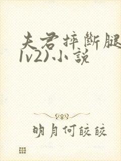 夫君摔断腿后(1v2)小说