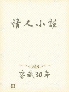 情人小说封面