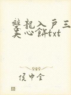 双龙入户三人行夹心饼txt