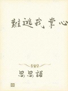 难逃我掌心封面