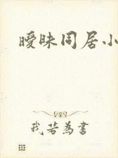 暧昧同居小说