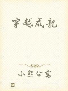穿越成龙封面