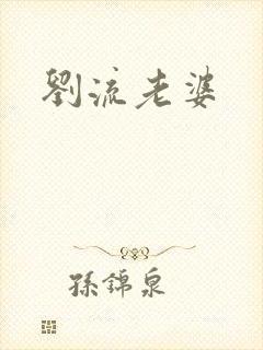 刘流老婆封面