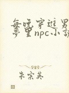 每晚穿进男神的梦里npc小说