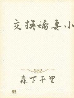 交换娇妻小说