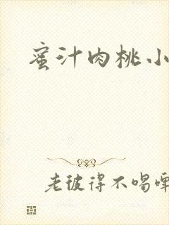 蜜汁肉桃小说