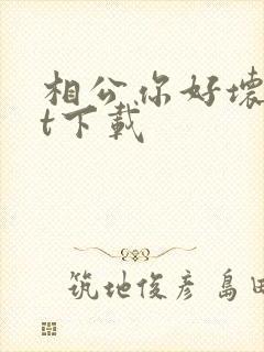 相公你好坏txt下载