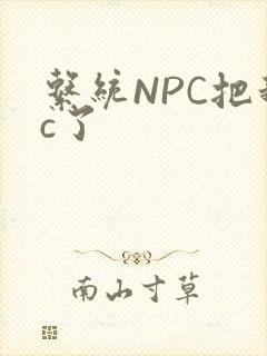 系统NPC把我c了封面