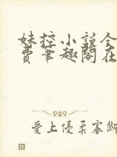 妹控小说全文免费笔趣阁在线阅读