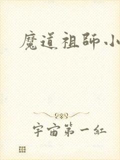 魔道祖师小说