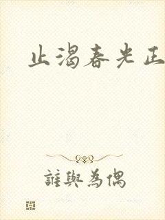 止渴春光正好封面
