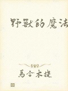 野兽的魔法师
