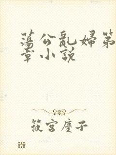 荡公乱妇第51章小说