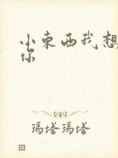 小东西我想弄坏你